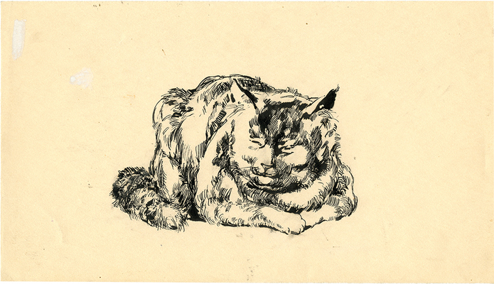 Урманче Баки Идрисович. Кот